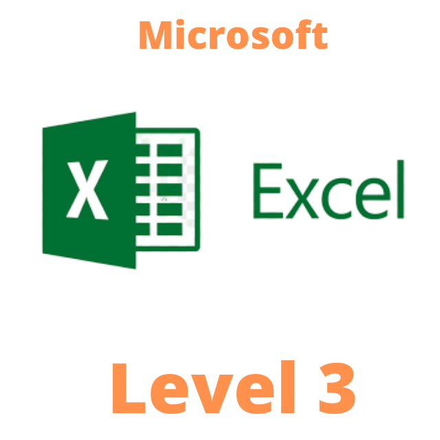 Microsoft Excel Level 3 - Technoview